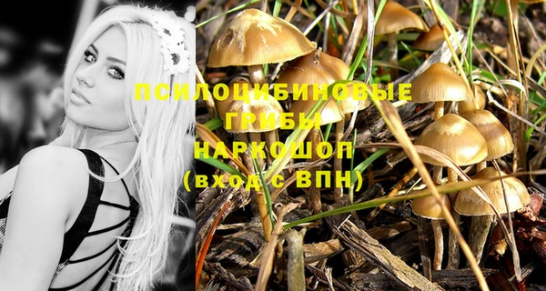 кокс Аркадак